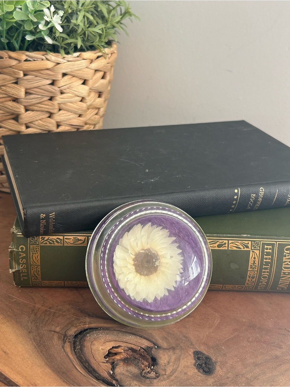 Decorative Vintage Round Glass Paperweight Dome with White Daisy